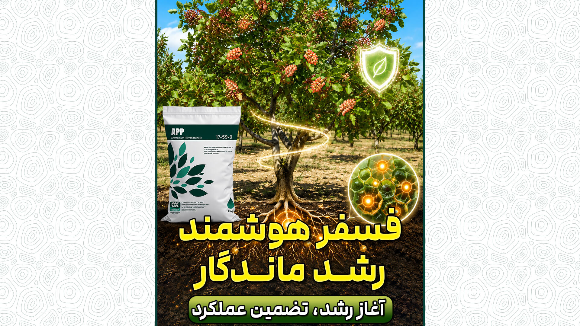 رضایت باغدار، نتیجه تغذیه اصولی در زمان مناسب