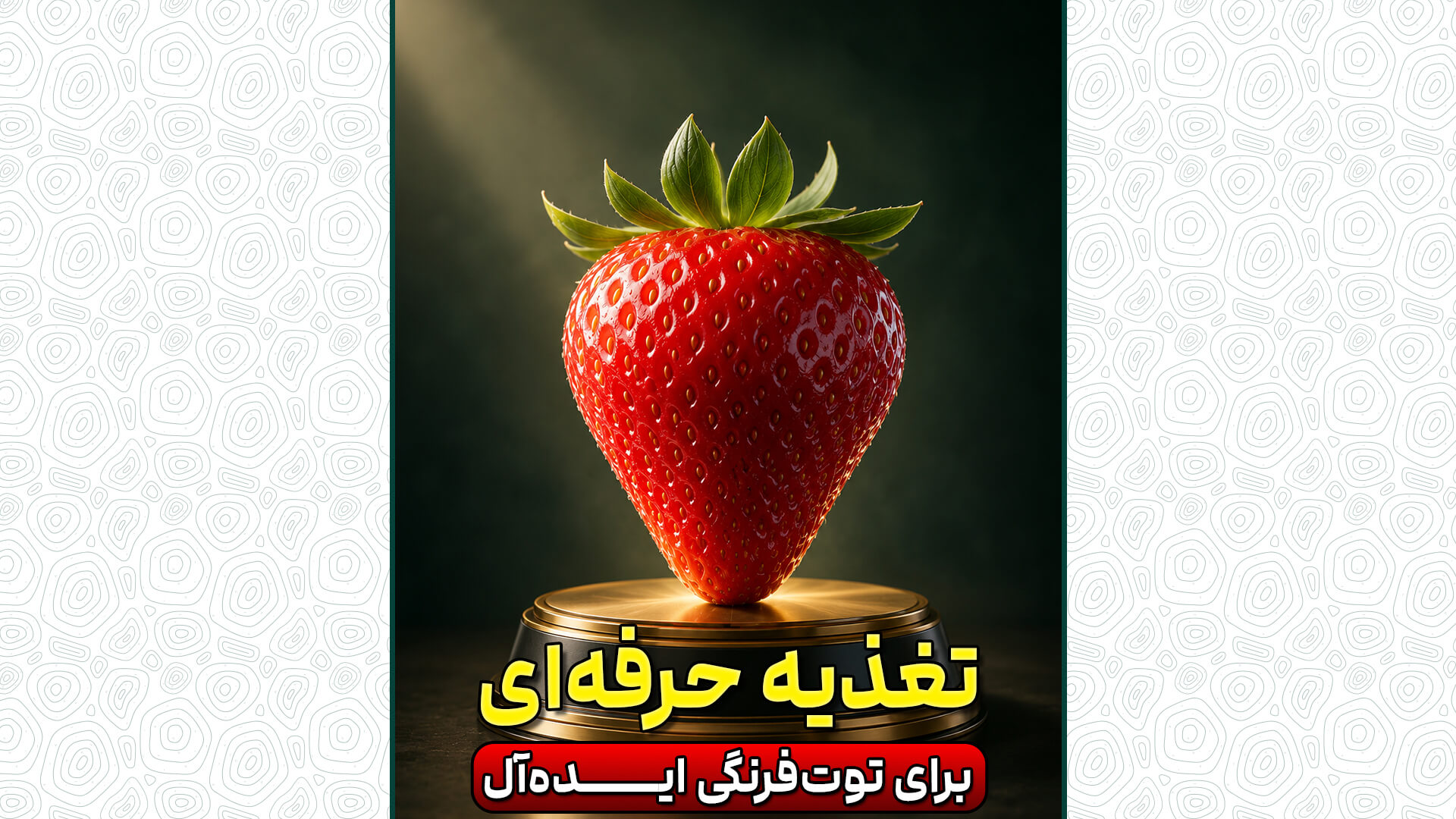 تغذیه حرفه ای برای توت فرنگی ایده آل