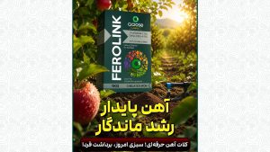 وقتی تجربه، بهترین گواه کیفیت است