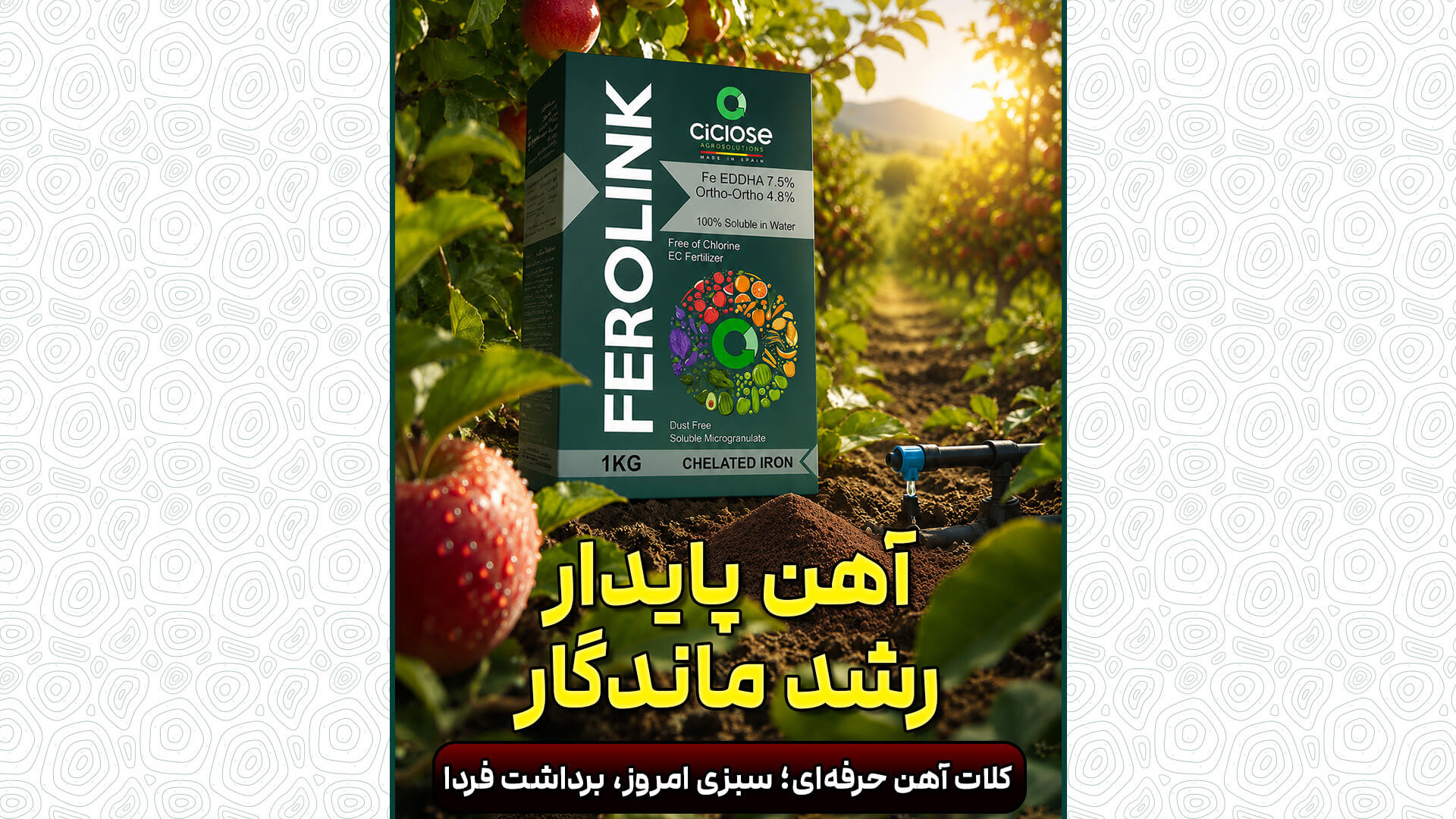 وقتی تجربه، بهترین گواه کیفیت است