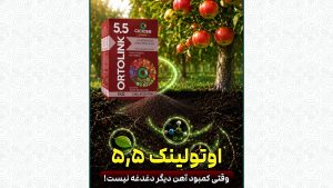 یک تجربه واقعی از دل باغ