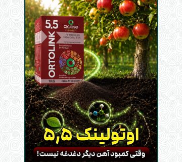 یک تجربه واقعی از دل باغ