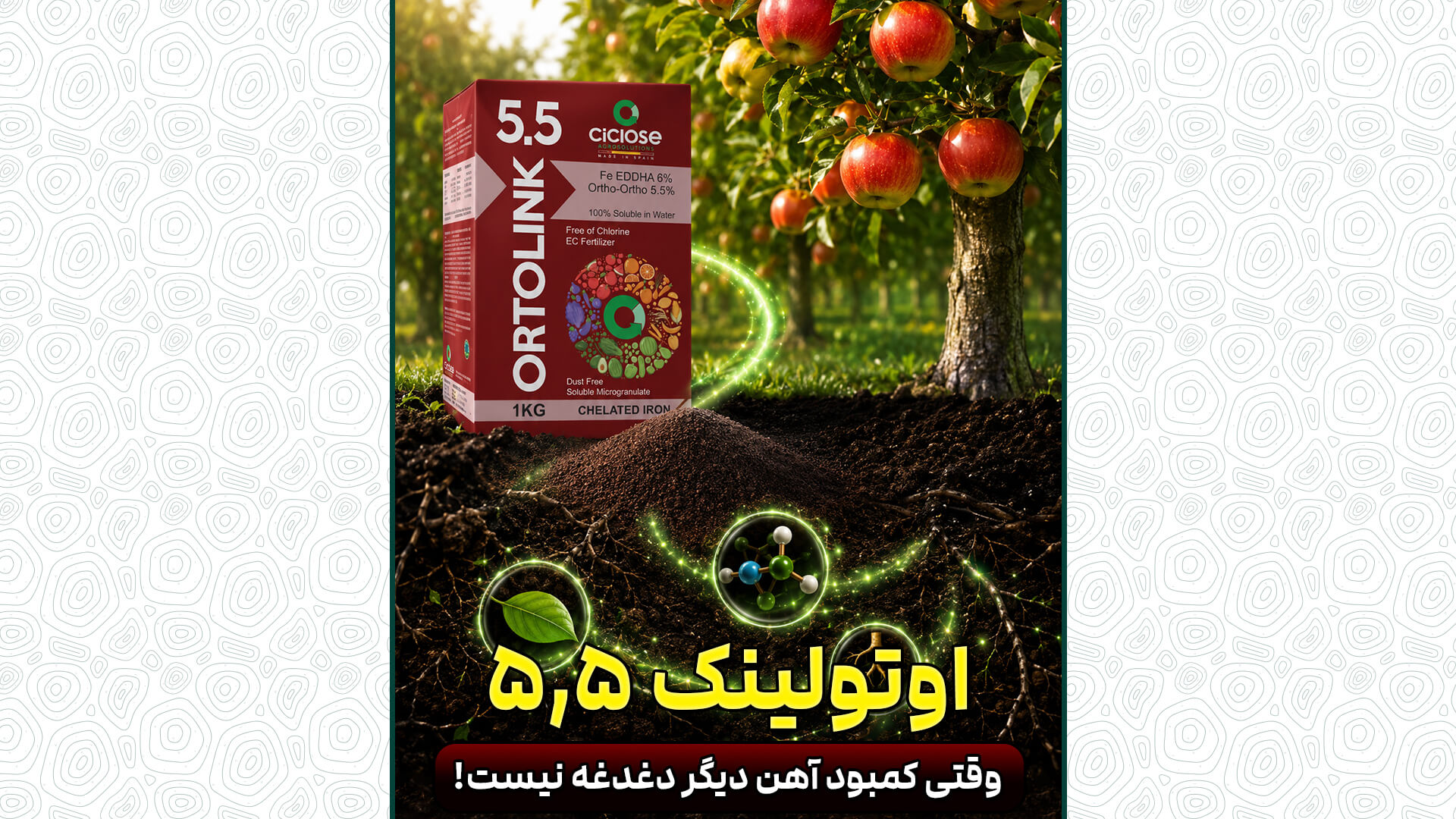 یک تجربه واقعی از دل باغ