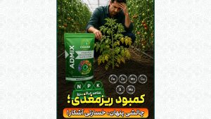کمبود ریزمغذی؛ چالشی پنهان، خسارتی آشکار!