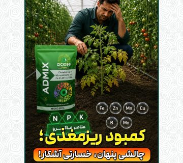 کمبود ریزمغذی؛ چالشی پنهان، خسارتی آشکار!