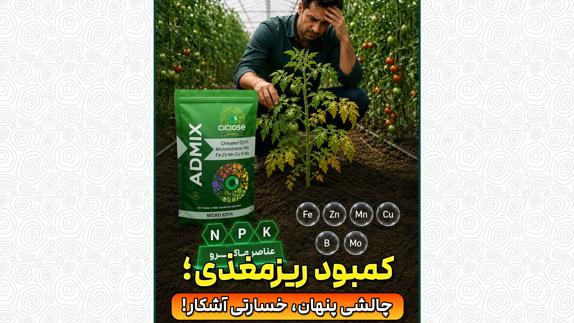 کمبود ریزمغذی؛ چالشی پنهان، خسارتی آشکار!