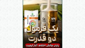 ماکروسول NPK 15-5-21 + 11CaO + TE