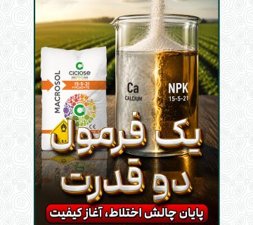 ماکروسول NPK 15-5-21 + 11CaO + TE