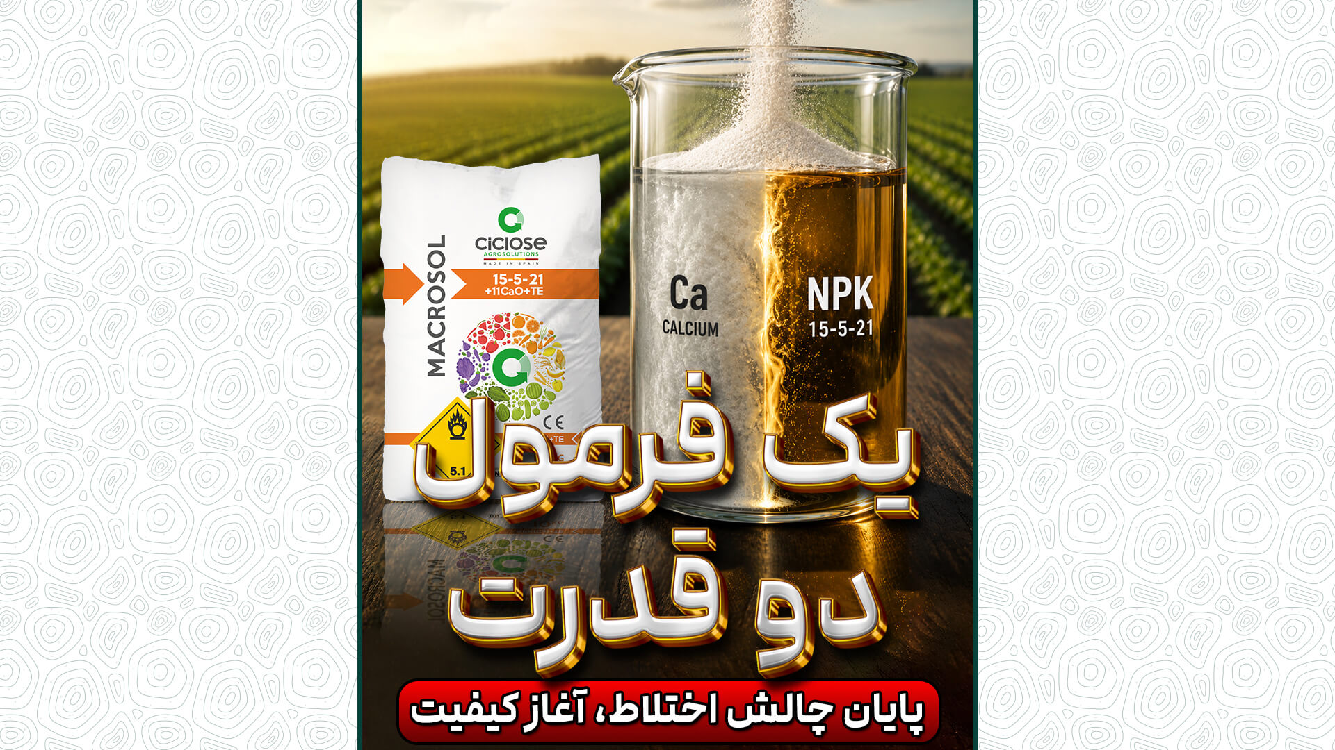 ماکروسول NPK 15-5-21 + 11CaO + TE
