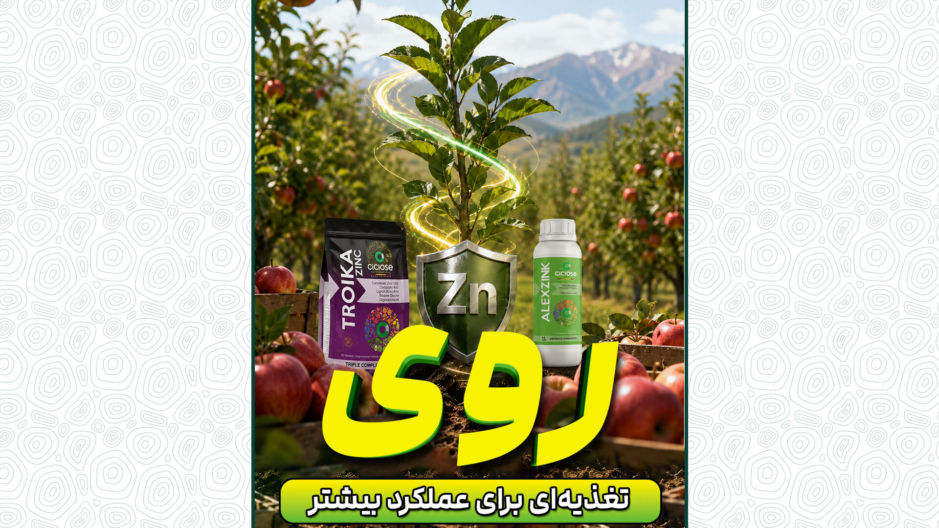 روی؛ تغذیه ای برای عملکرد بیشتر